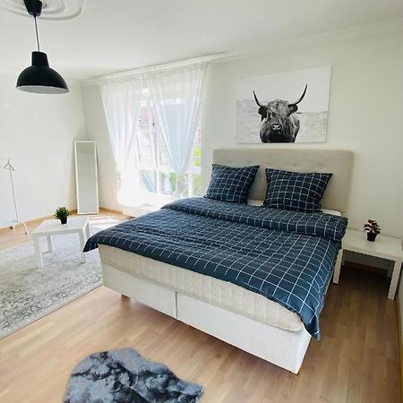 דרזדן Luxury 3-Room Apartment מראה חיצוני תמונה